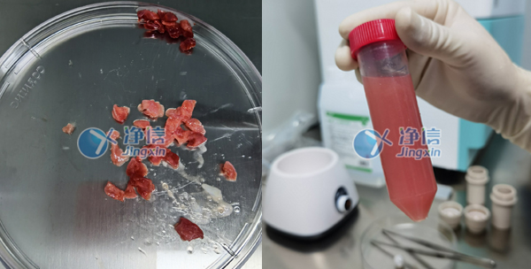 样品前处理实验效果