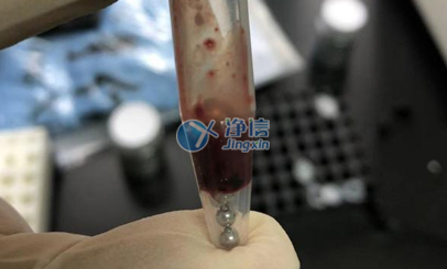 动物肝脏组织样品前处理实验研磨效果图