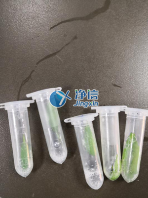 多样品研磨仪研磨前